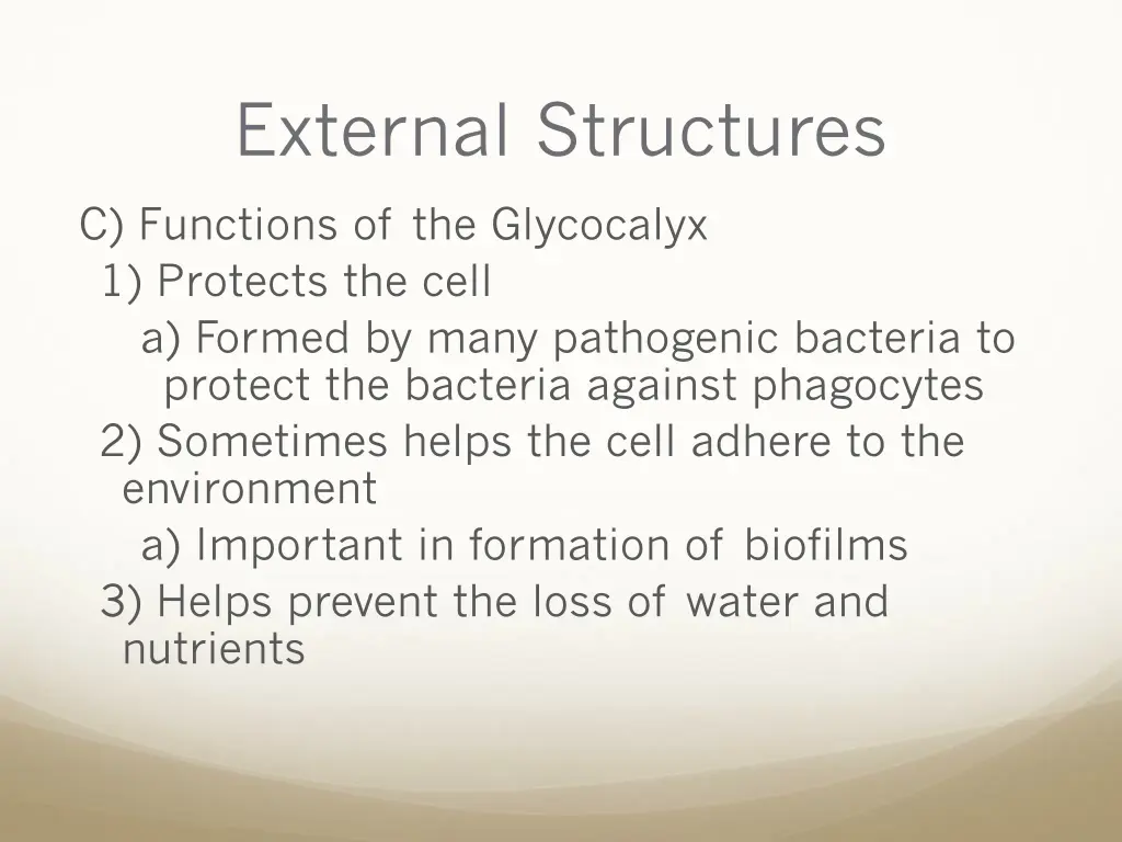 external structures 11