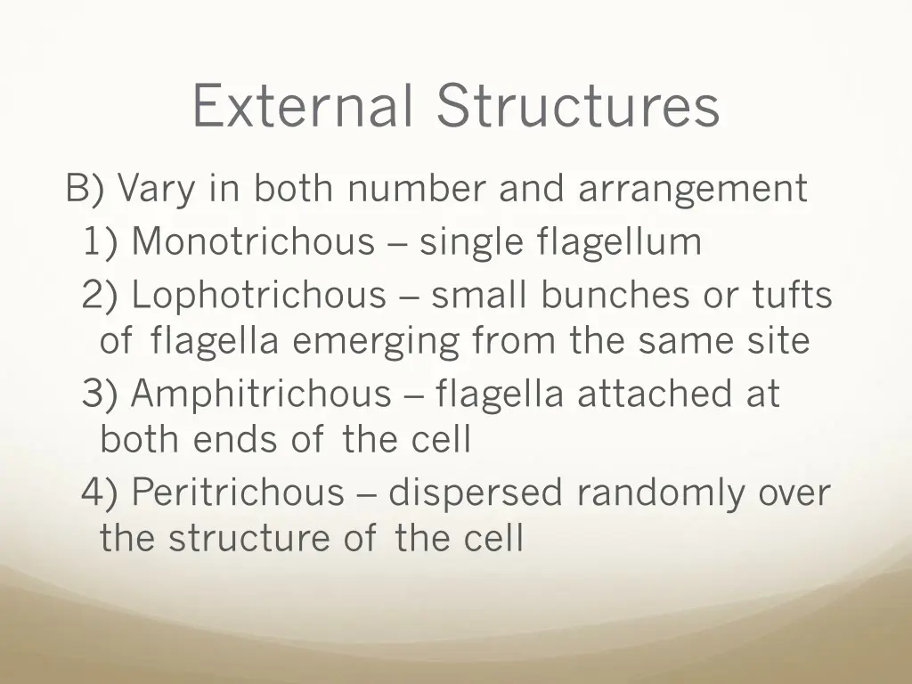 external structures 3