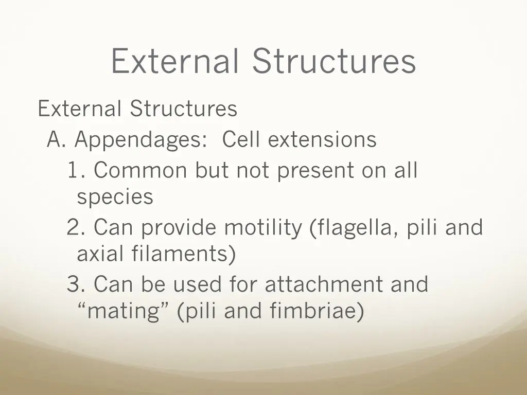 external structures