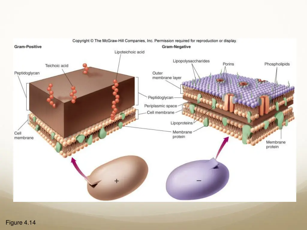 figure 4 14