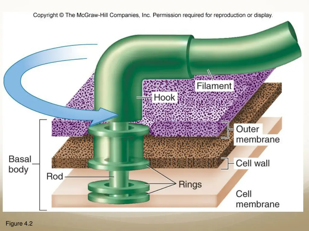 figure 4 2