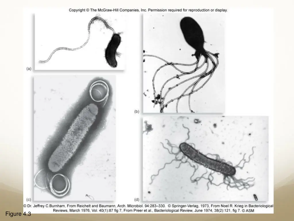 figure 4 3