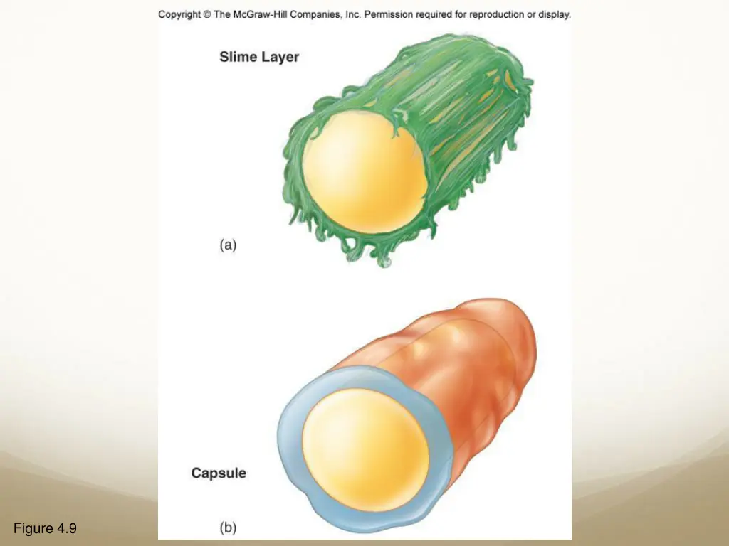 figure 4 9