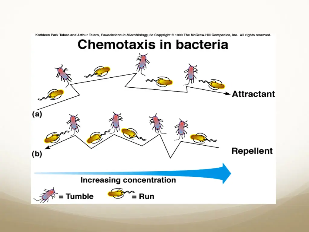 slide20