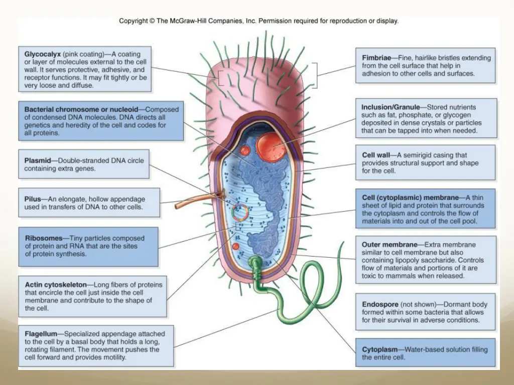 slide5