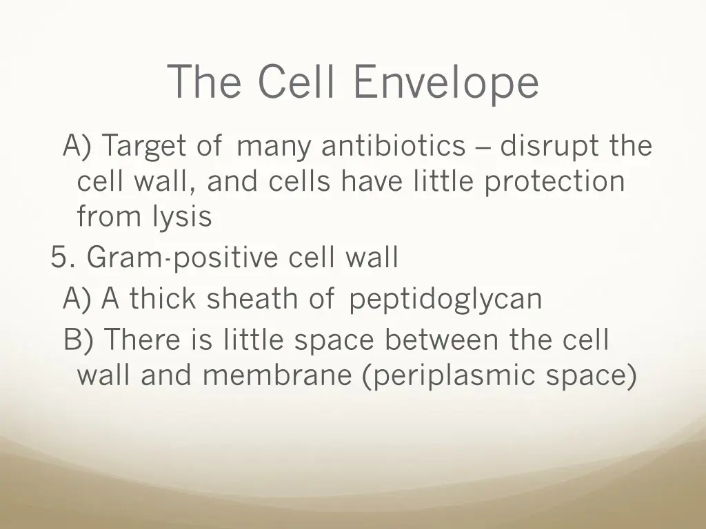 the cell envelope 3