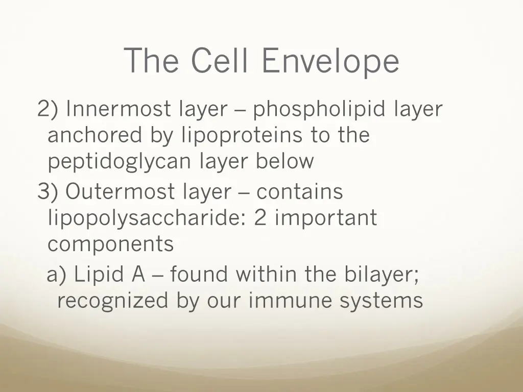 the cell envelope 6