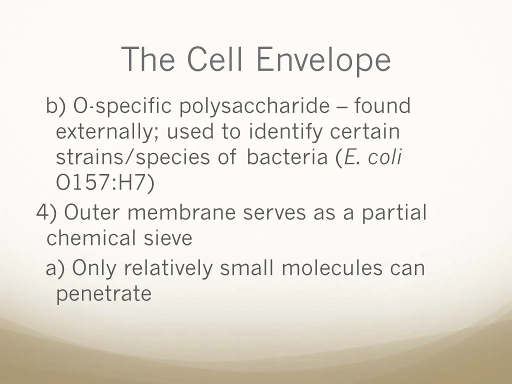 the cell envelope 7