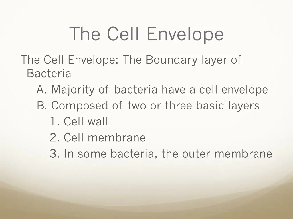 the cell envelope