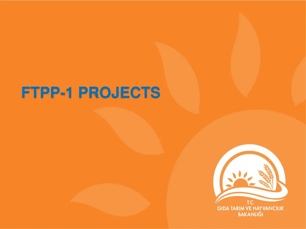 ftpp 1 projects