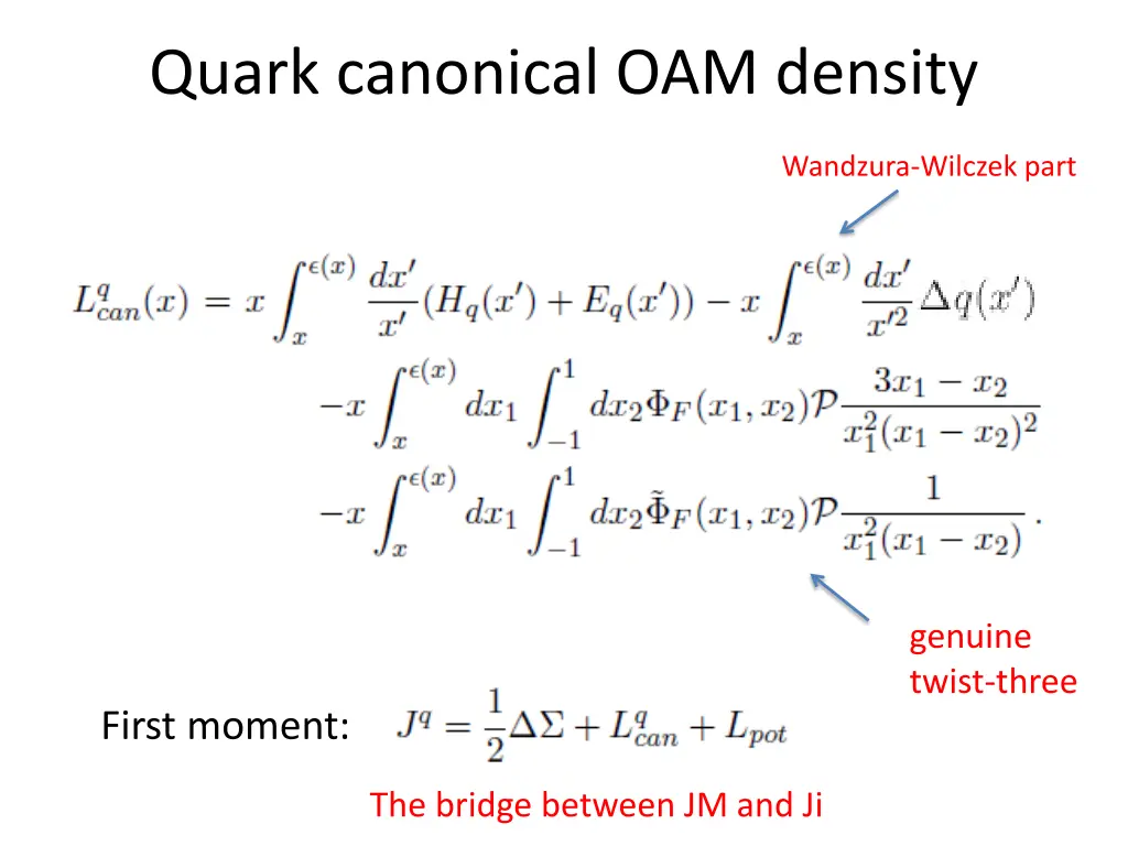 quark canonical oam density