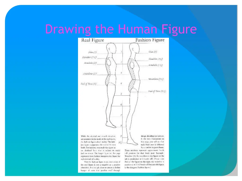 drawing the human figure