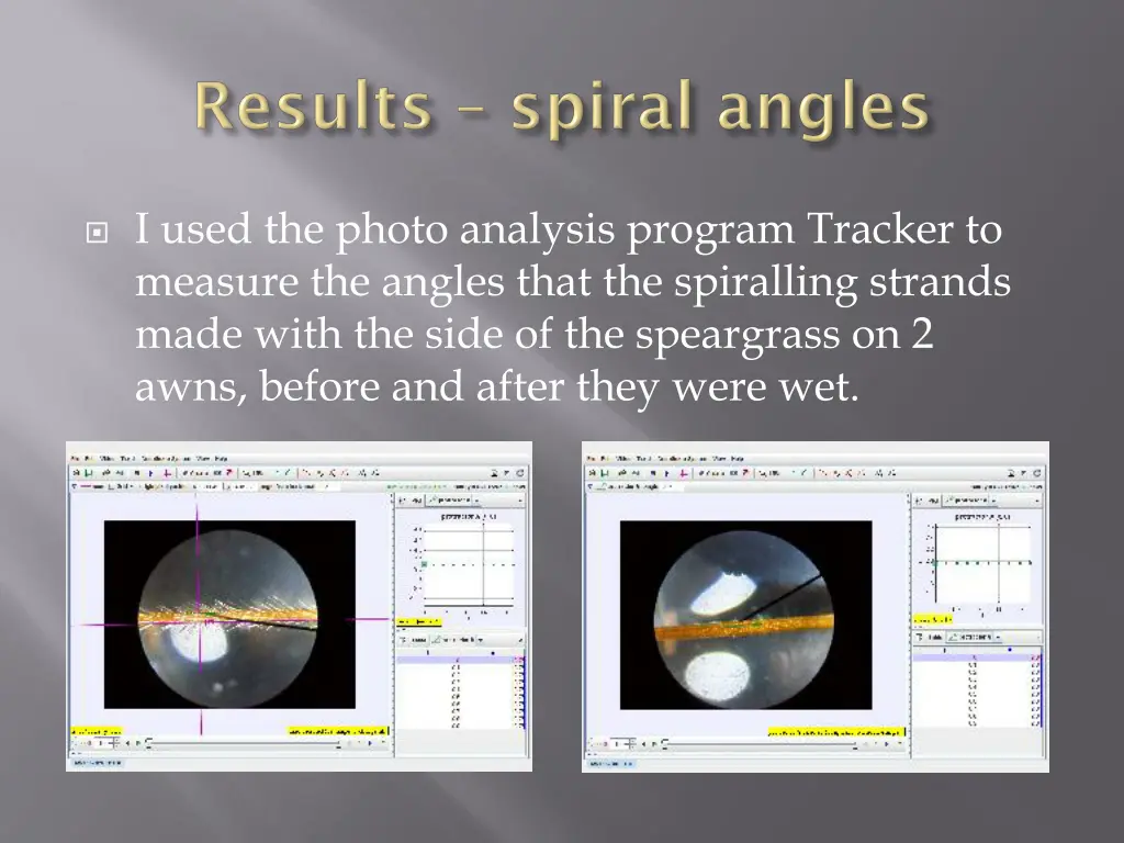 i used the photo analysis program tracker