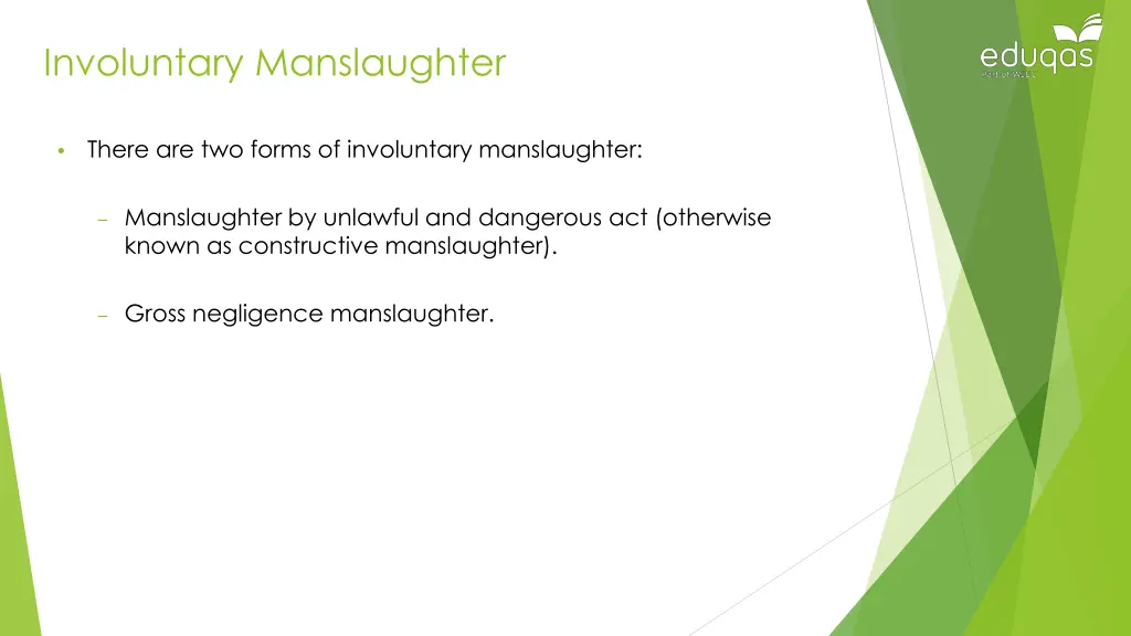 involuntary manslaughter 1