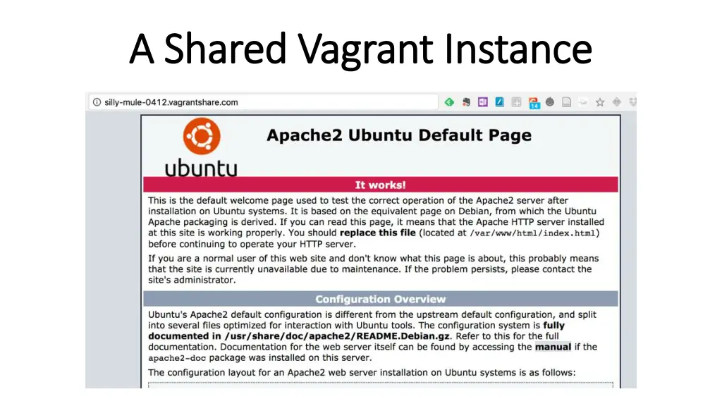 a shared vagrant instance a shared vagrant