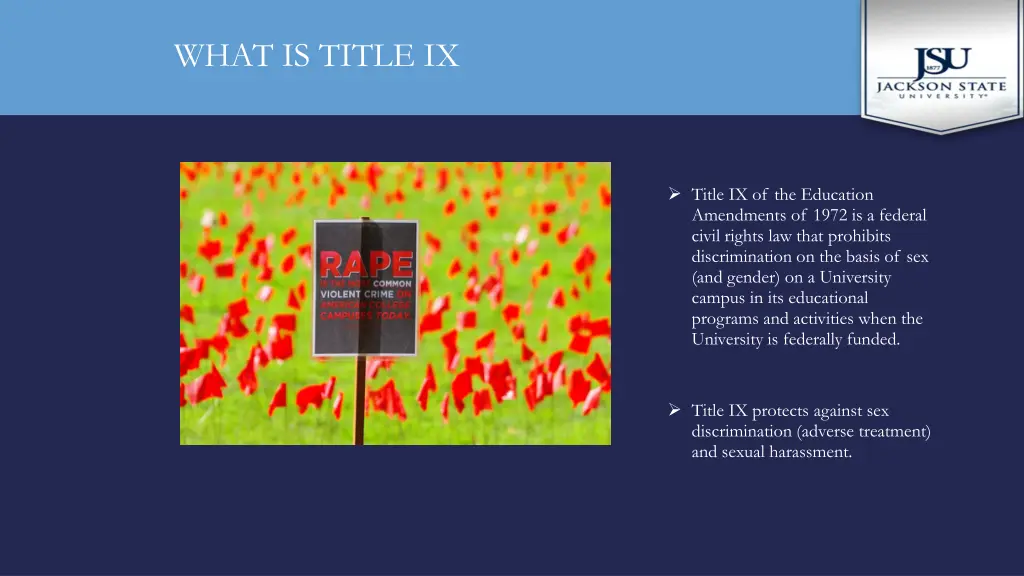 what is title ix