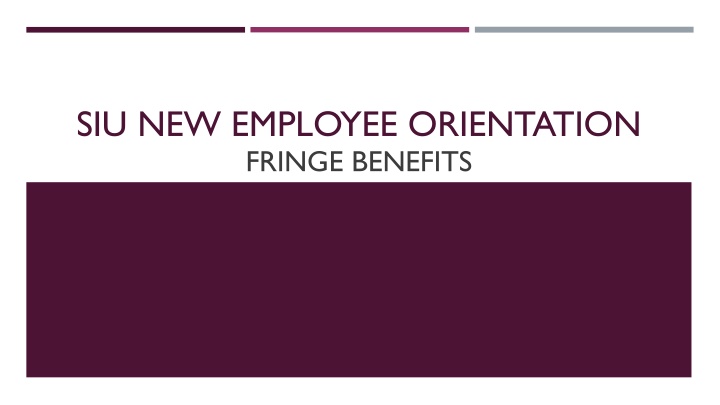 siu new employee orientation fringe benefits