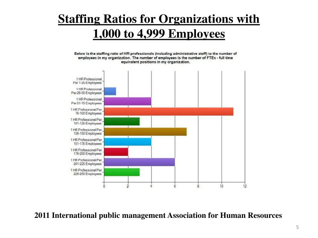 staffing ratios for organizations with