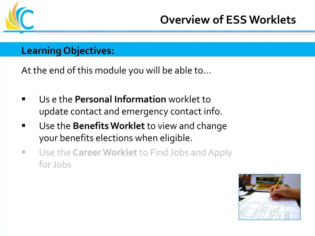 overview of ess worklets