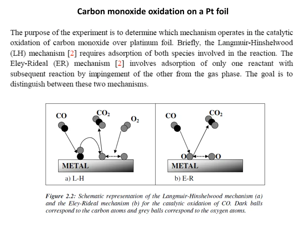 carbon monoxide oxidation on a pt foil