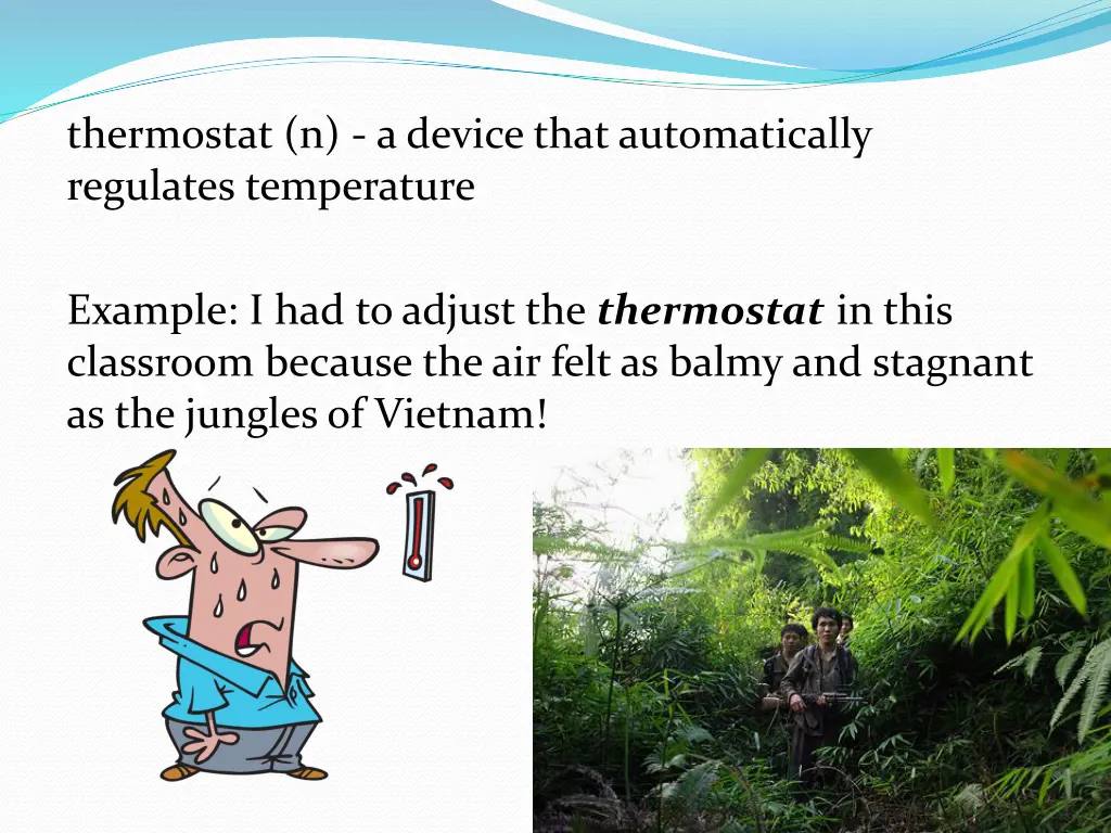 thermostat n a device that automatically