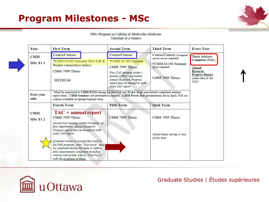 program milestones msc