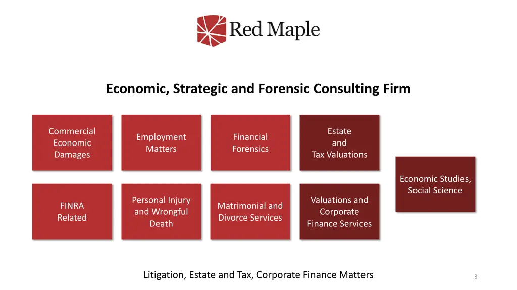 economic strategic and forensic consulting firm