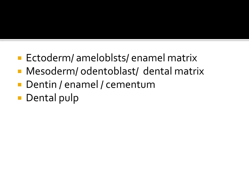 ectoderm ameloblsts enamel matrix mesoderm