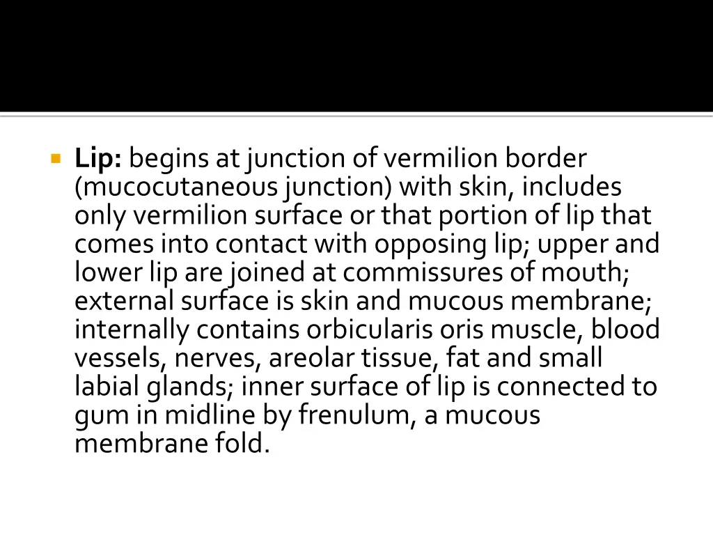 lip begins at junction of vermilion border