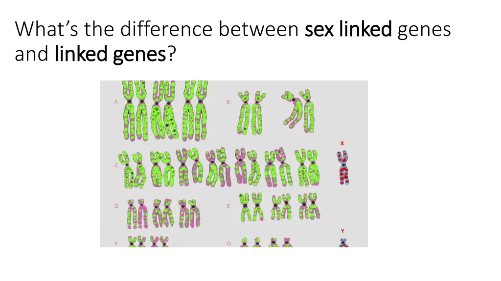 what s the difference between sex linked