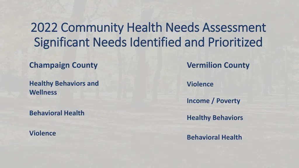 2022 community health needs assessment 2022