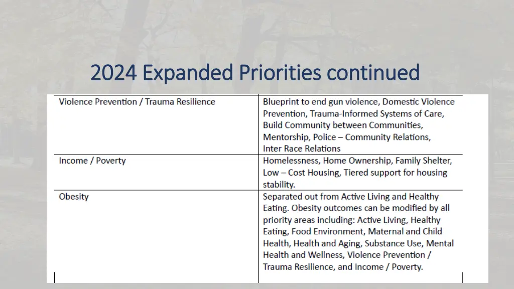 2024 expanded priorities continued 2024 expanded