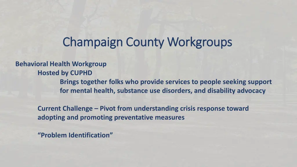 champaign county workgroups champaign county 1