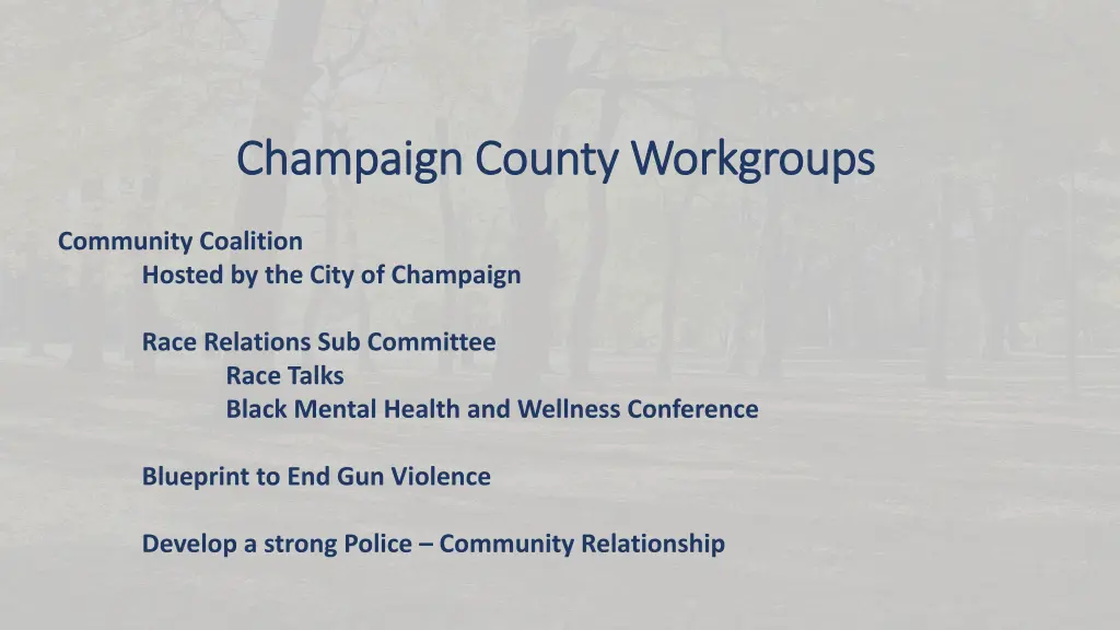 champaign county workgroups champaign county 2