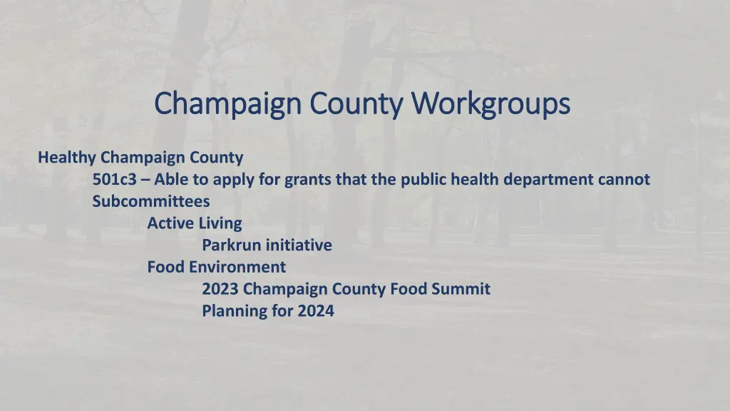 champaign county workgroups champaign county