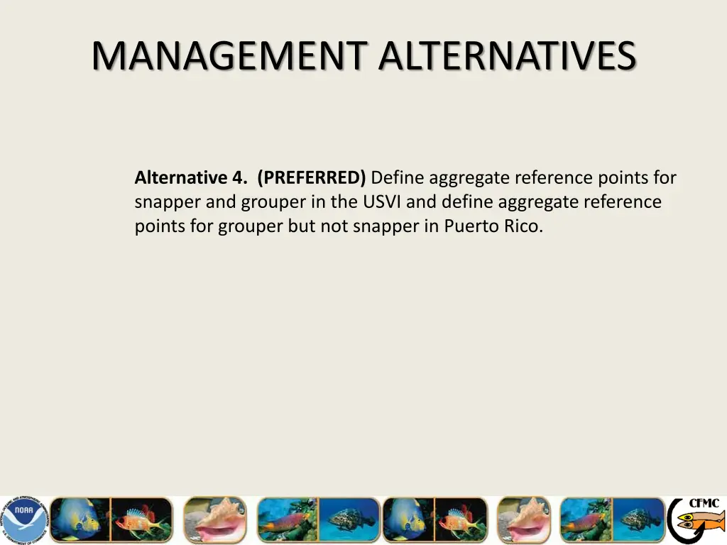 management alternatives 10