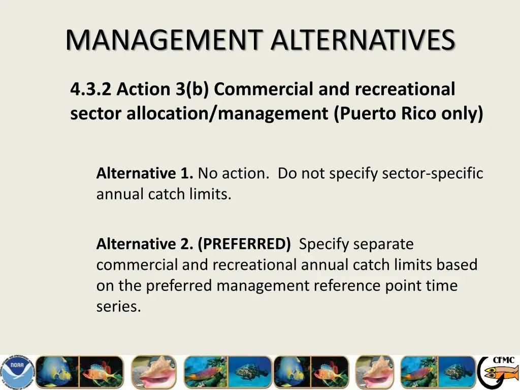 management alternatives 11