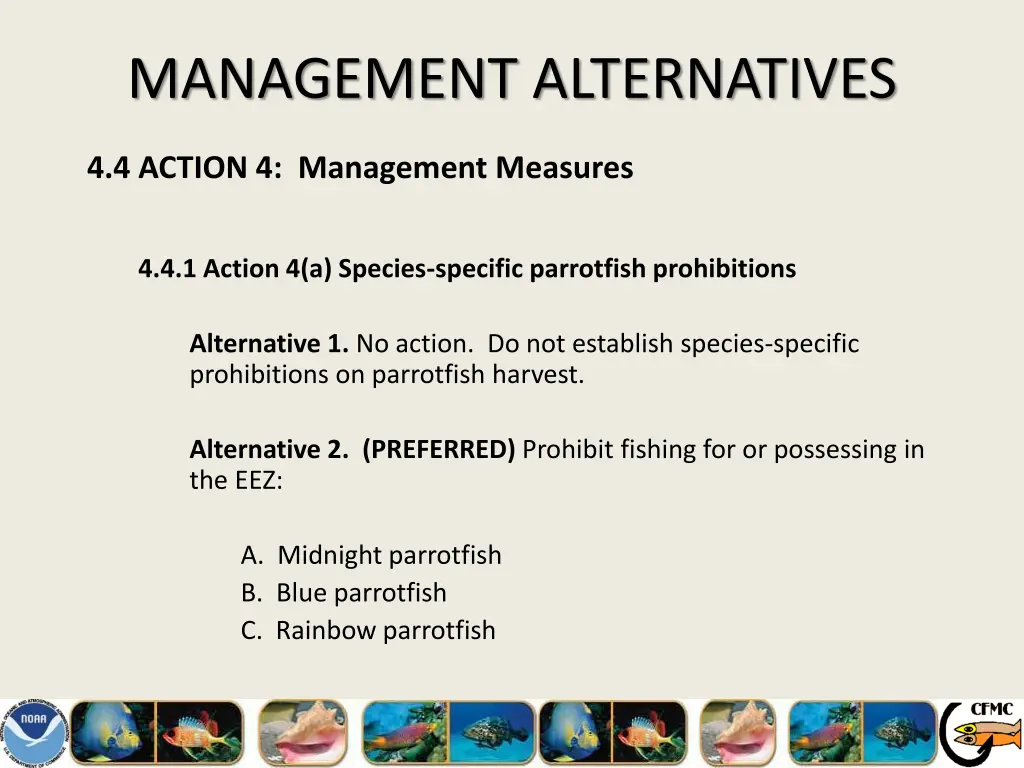 management alternatives 13