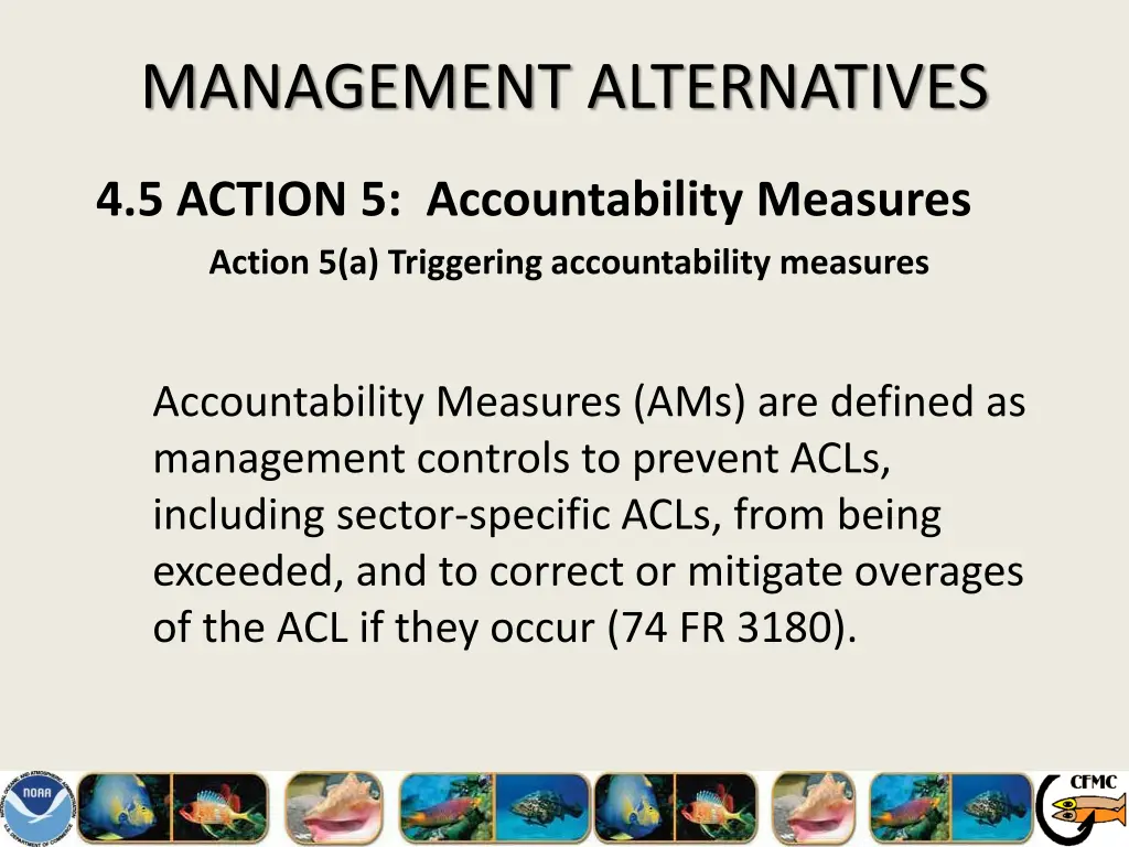 management alternatives 18