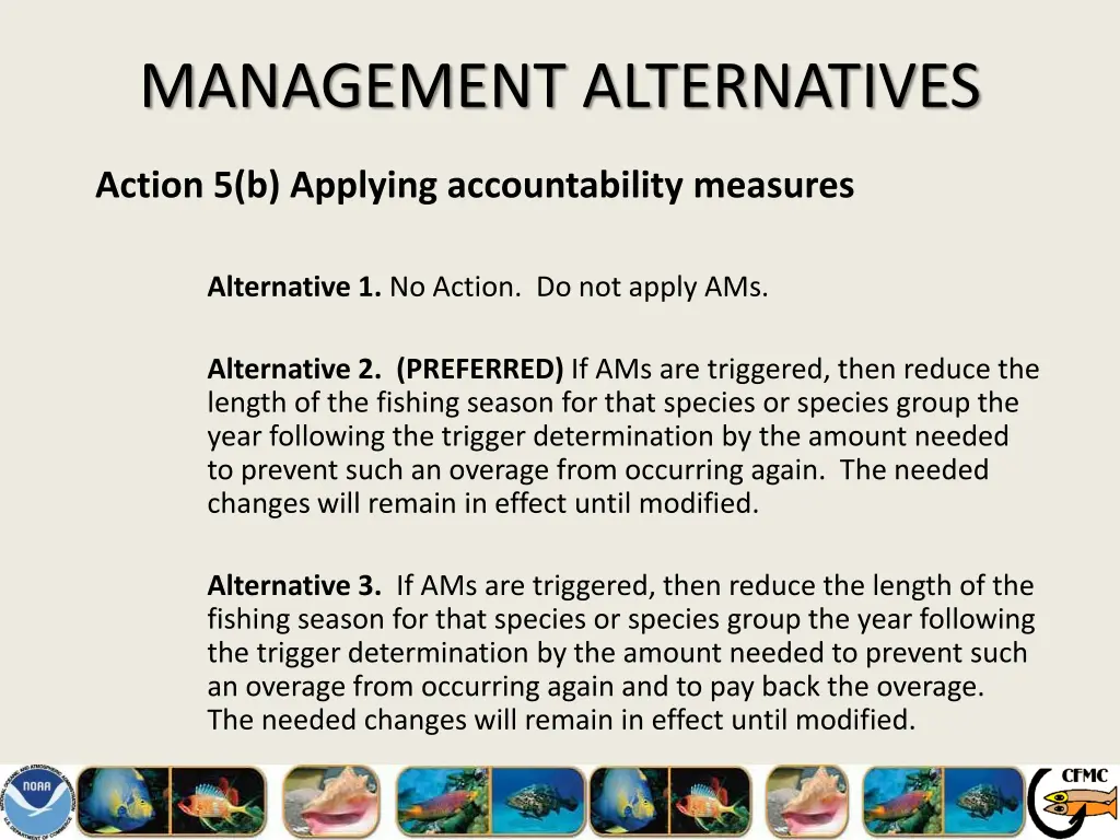 management alternatives 20