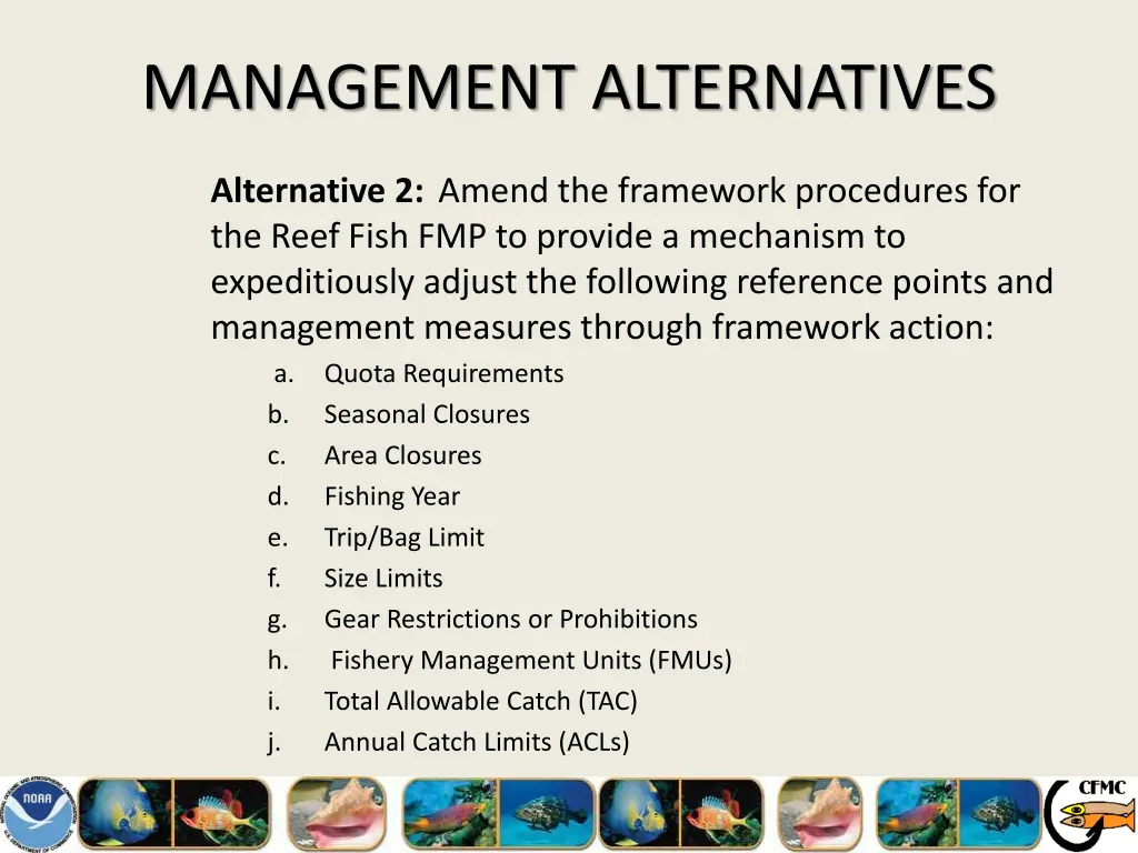 management alternatives 22