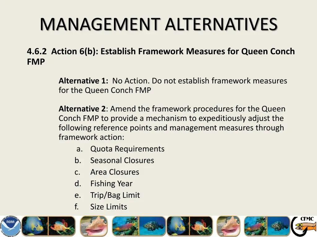 management alternatives 25