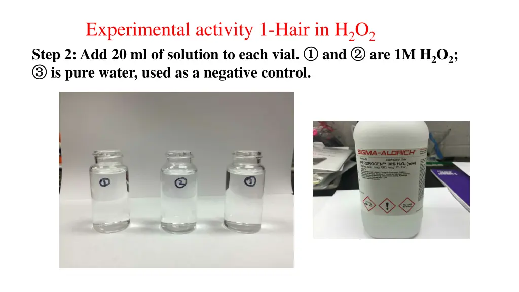 experimental activity 1 hair in h 2 o 2 1