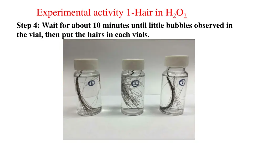 experimental activity 1 hair in h 2 o 2 3