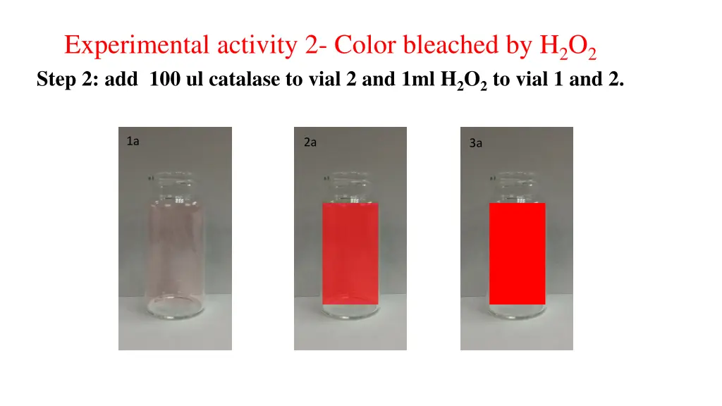 experimental activity 2 color bleached by h 2 o 2 1