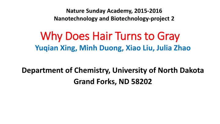 nature sunday academy 2015 2016 nanotechnology