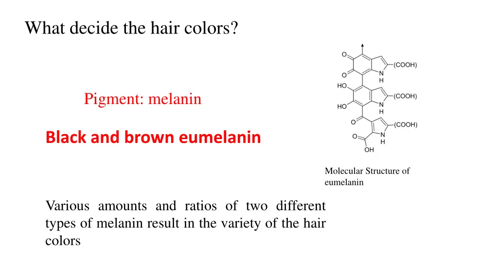 what decide the hair colors