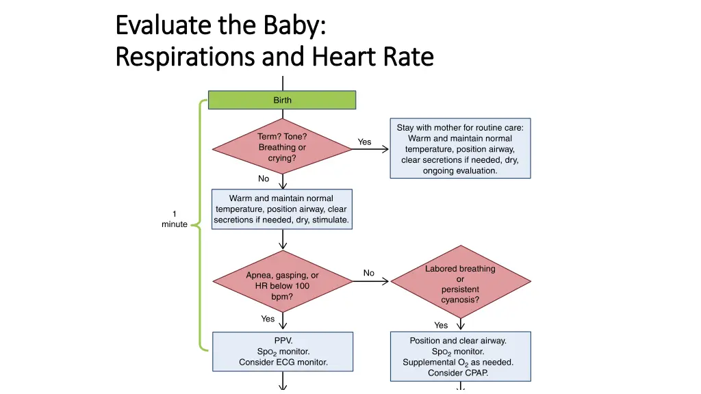 evaluate the baby evaluate the baby respirations