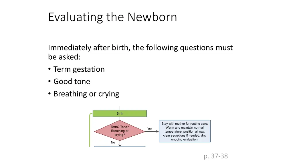 evaluating the newborn