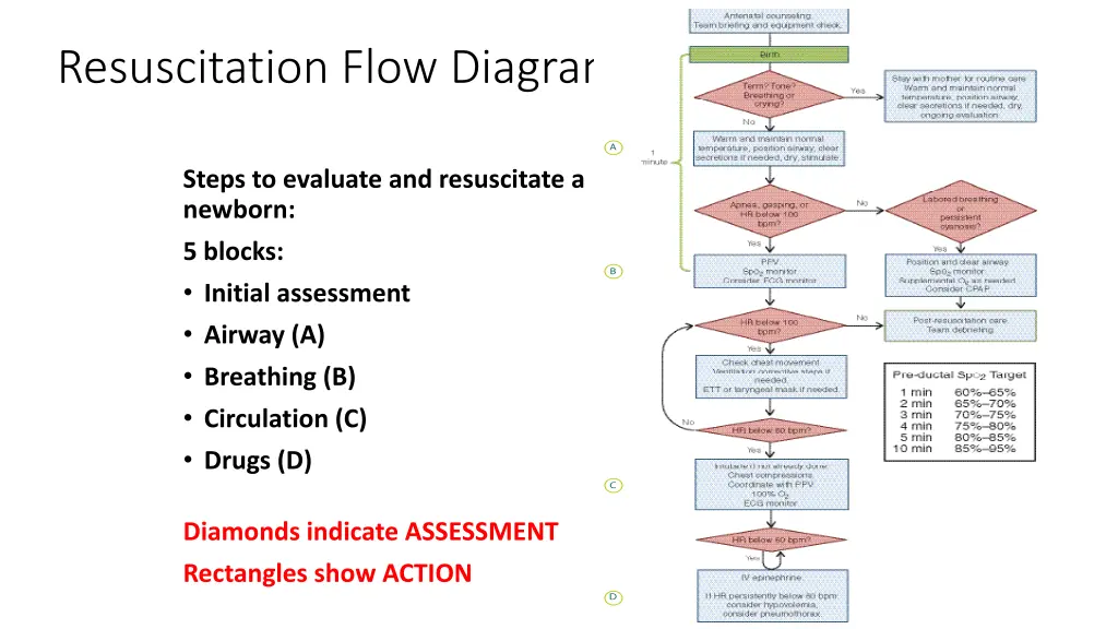 resuscitation flow diagram